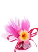 Tulle Dragées Mariage Fleur des Îles Fuchsia - Tulle Dragées Mariage