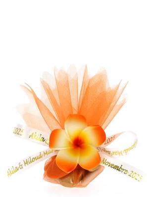 Tulle Dragées Mariage Fleur des Îles Orange - Tulle Dragées Mariage 
