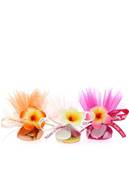 Tulles Dragées Mariage Fleur des Îles - Tulle Dragées Mariage